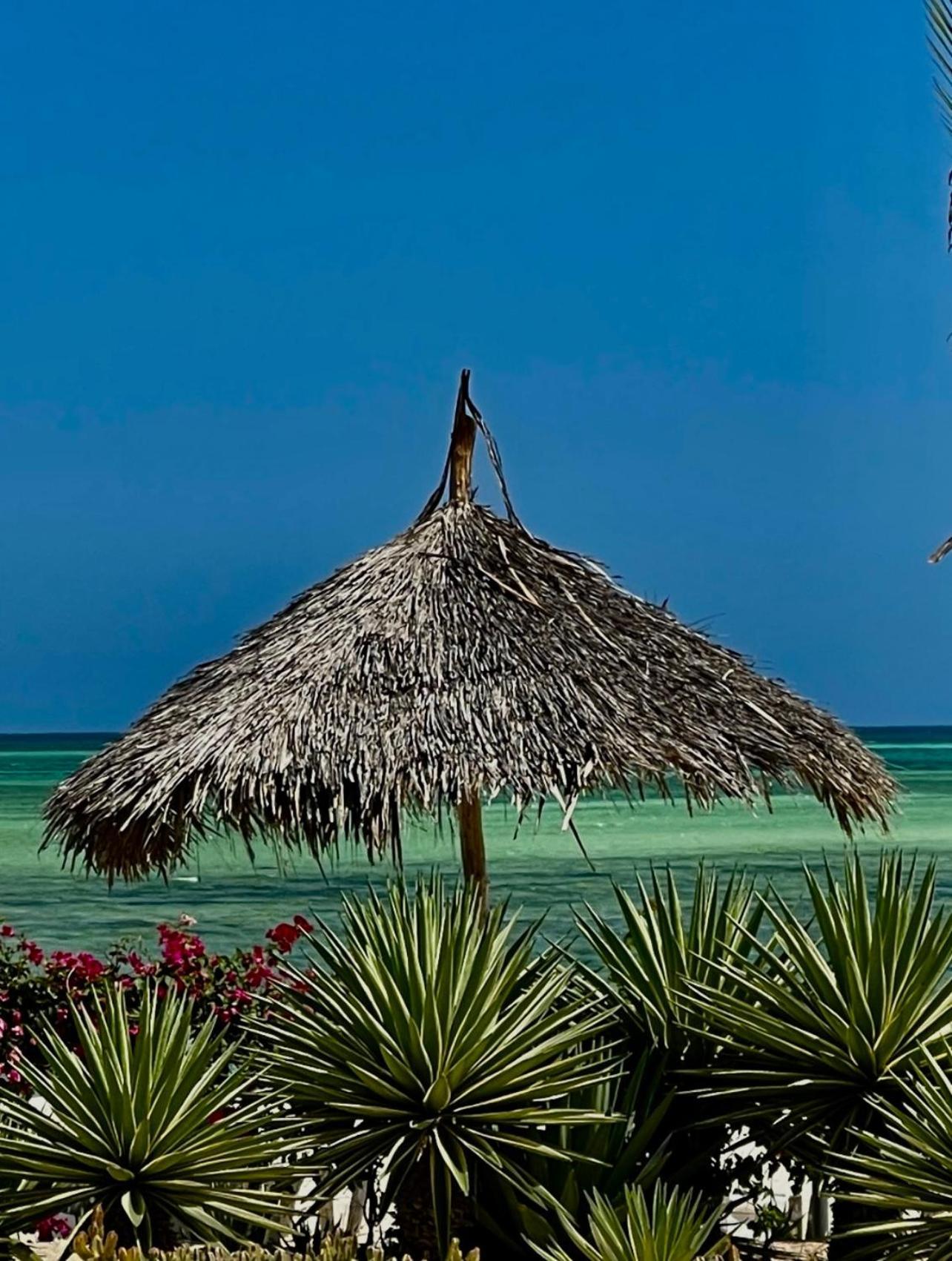 Shira House Panzió Watamu Kültér fotó