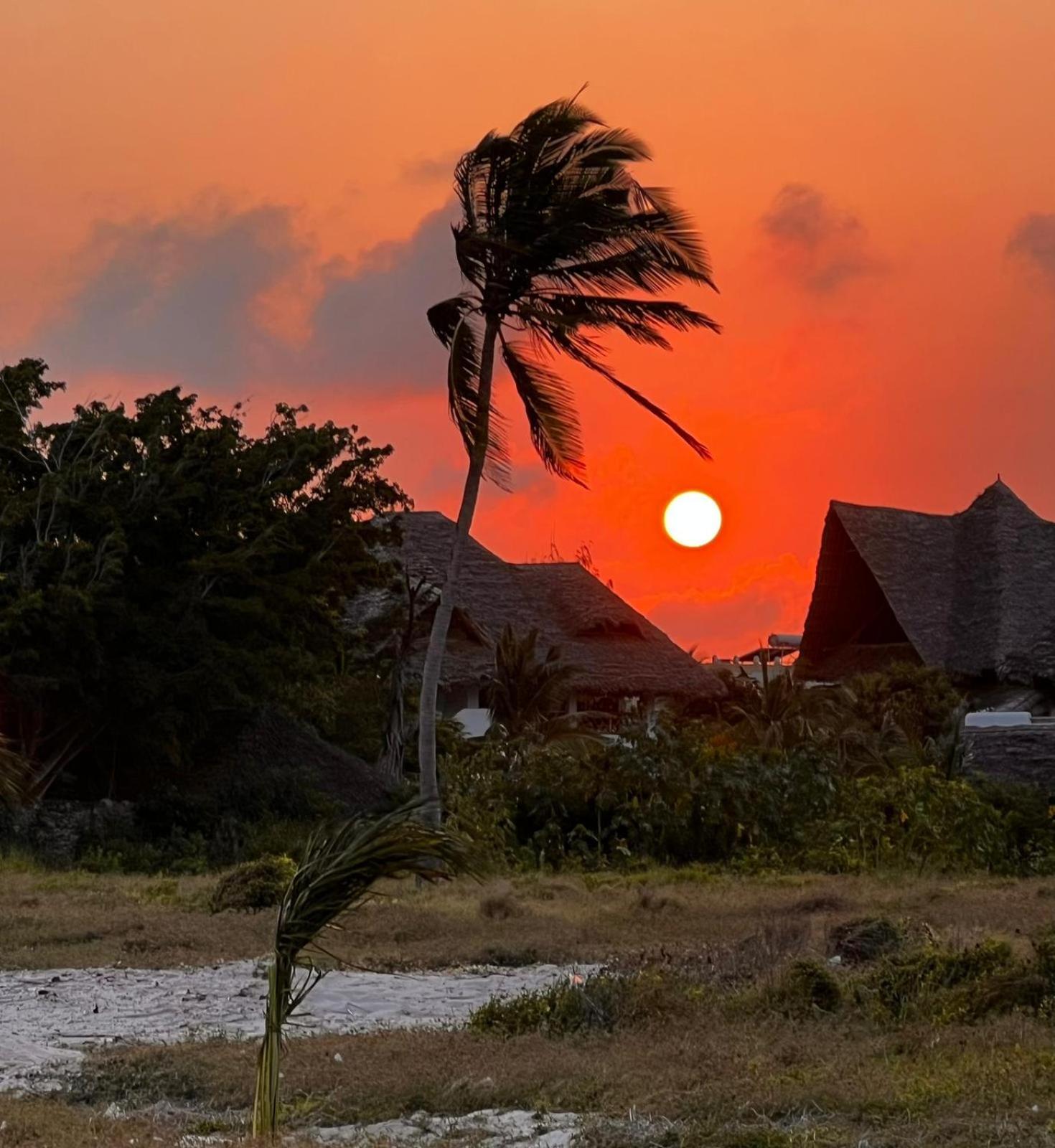 Shira House Panzió Watamu Kültér fotó